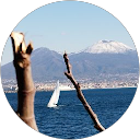 Antonella De Luca profile picture